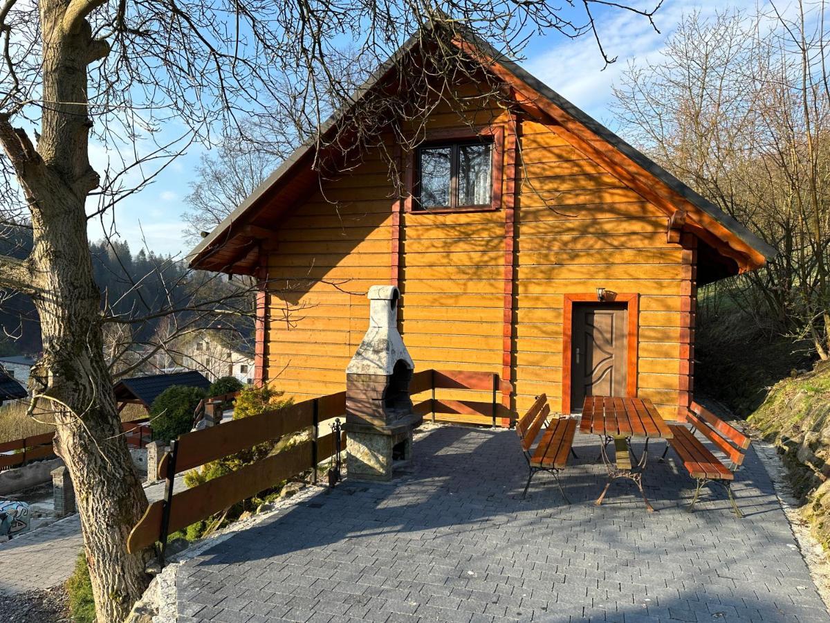 Willa Larysa Agro Wisła Esterno foto