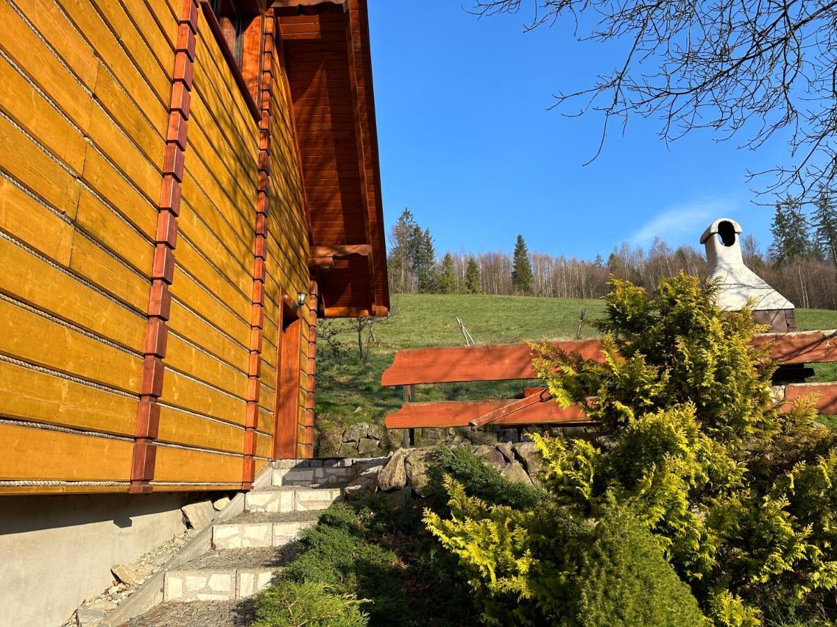 Willa Larysa Agro Wisła Esterno foto